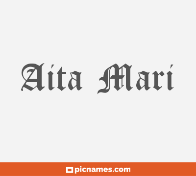 Aita Mari